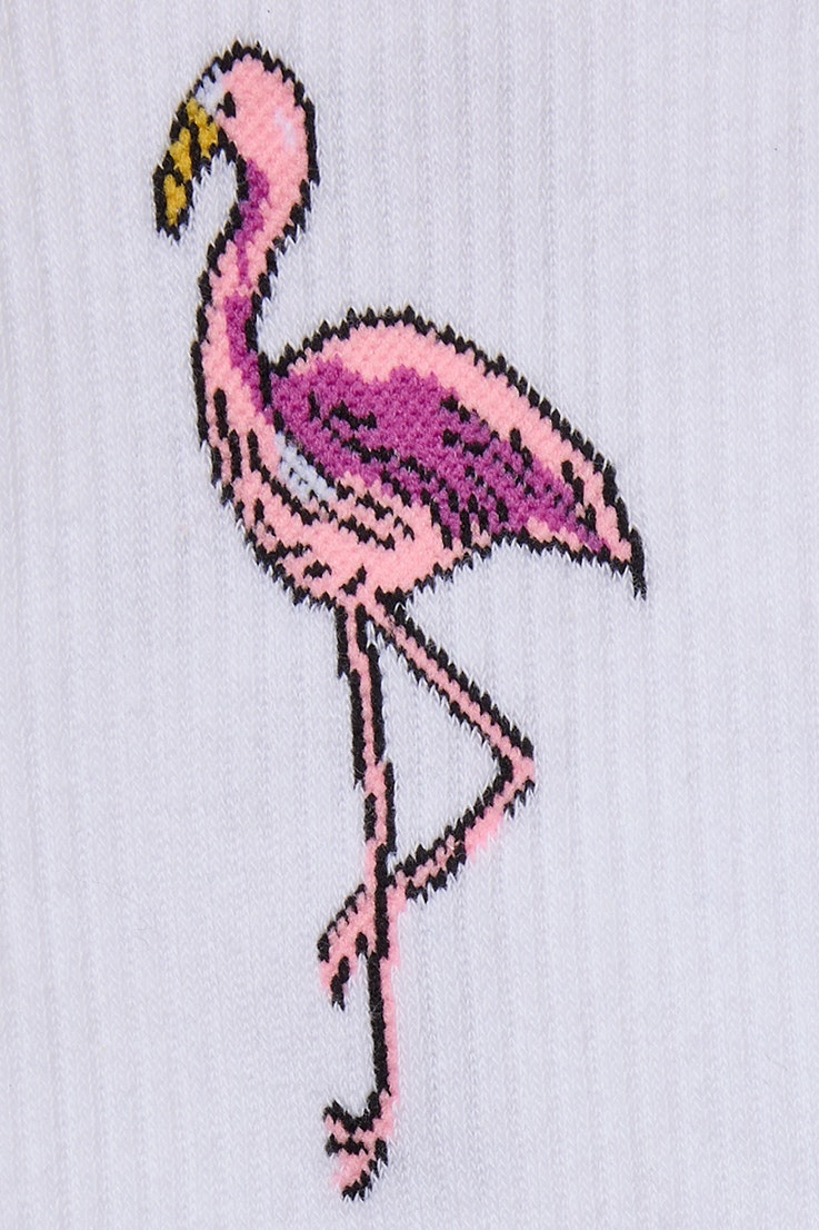 Bonobos Tube Sock lets flamingle